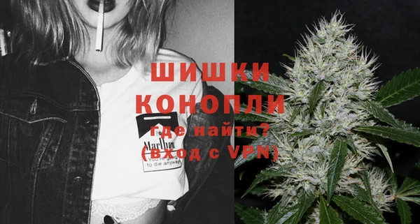 индика Ачинск
