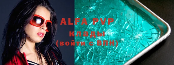 индика Ачинск