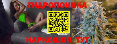 стаф Абакан