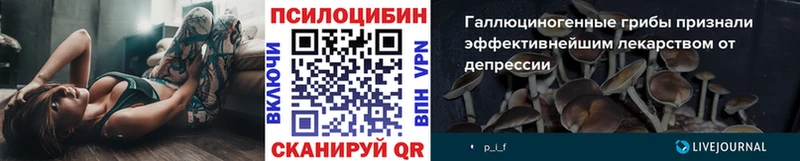 Псилоцибиновые грибы прущие грибы  цены наркотик  Апатиты 