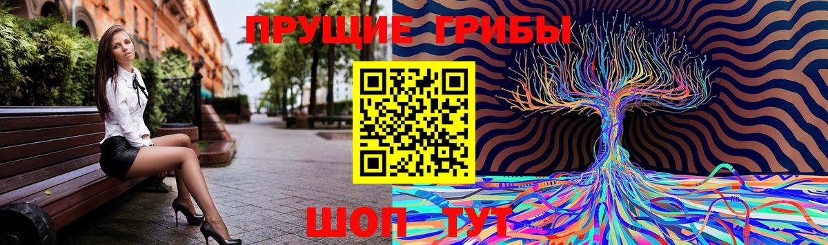 Псилоцибиновые грибы мухоморы Апатиты