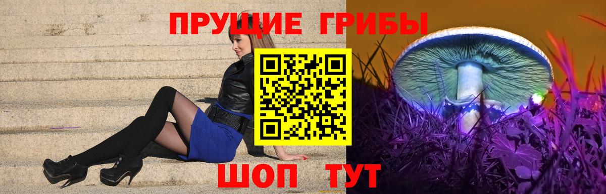 Галлюциногенные грибы GOLDEN TEACHER  Апатиты  Галлюциногенные грибы Magic Shrooms 