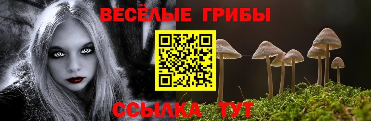 Псилоцибиновые грибы мицелий  хочу наркоту  Апатиты  Вход с VPN 